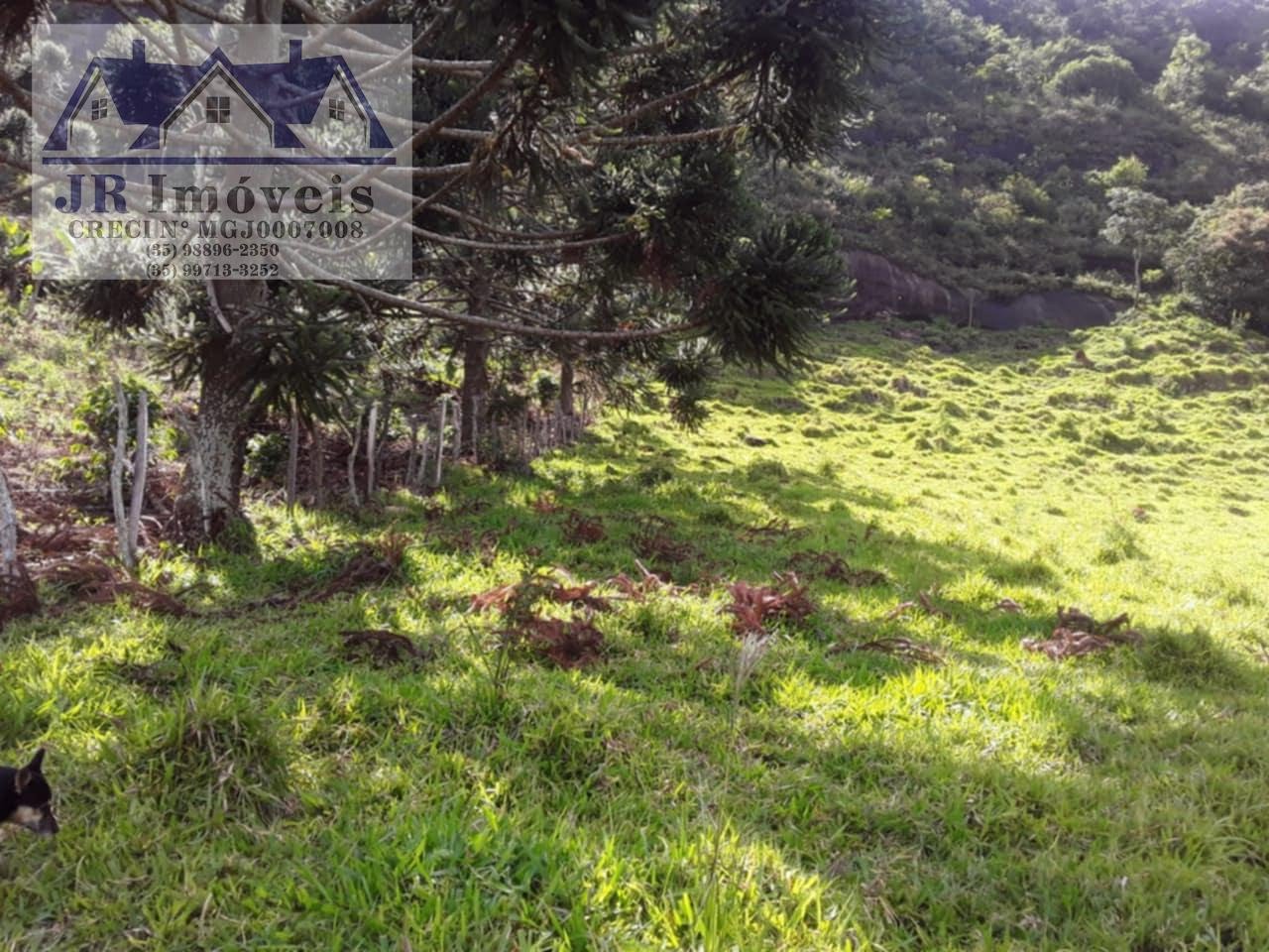 Rural à venda com 30000m² de terreno no Resende, Pedralva (MG) — foto 7 de 21