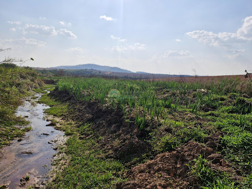 Fazenda a venda em Casa Branca SP