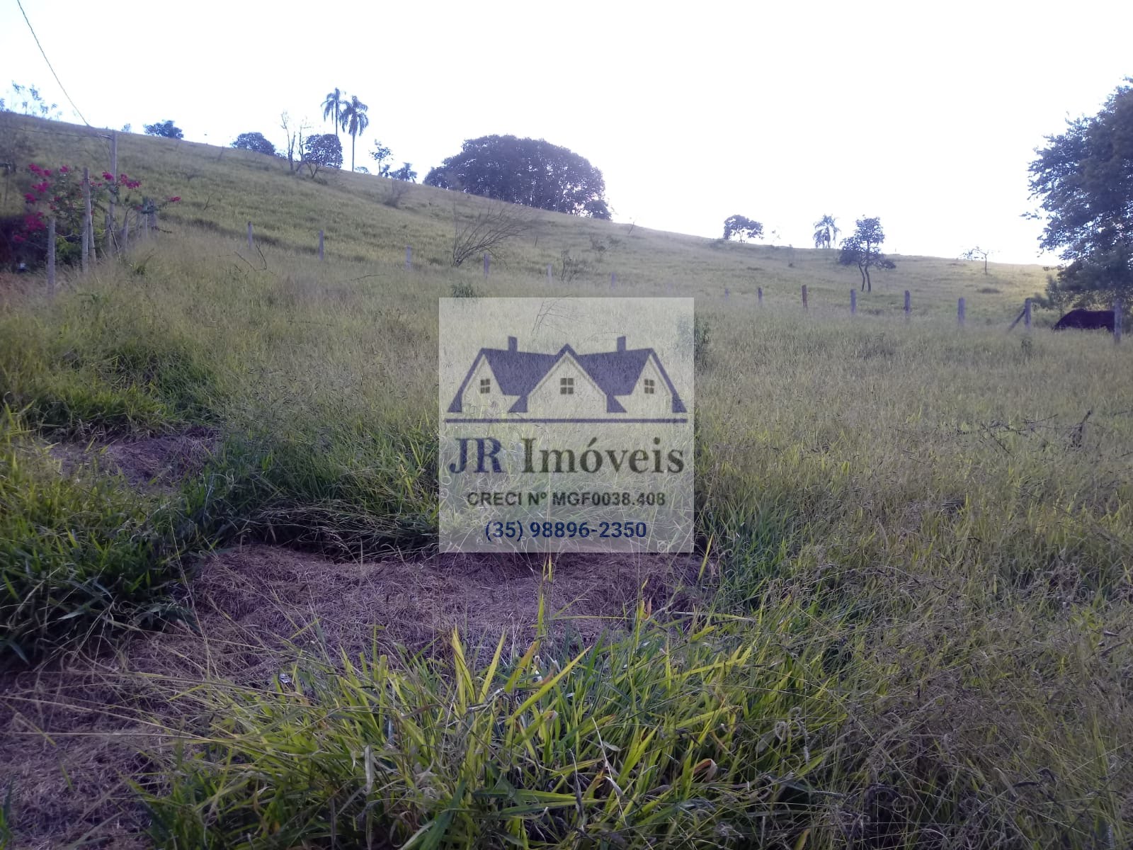 Terreno à venda com 730m² de terreno no Mato Dentro de Baixo, Piranguinho (MG) — foto 14 de 22