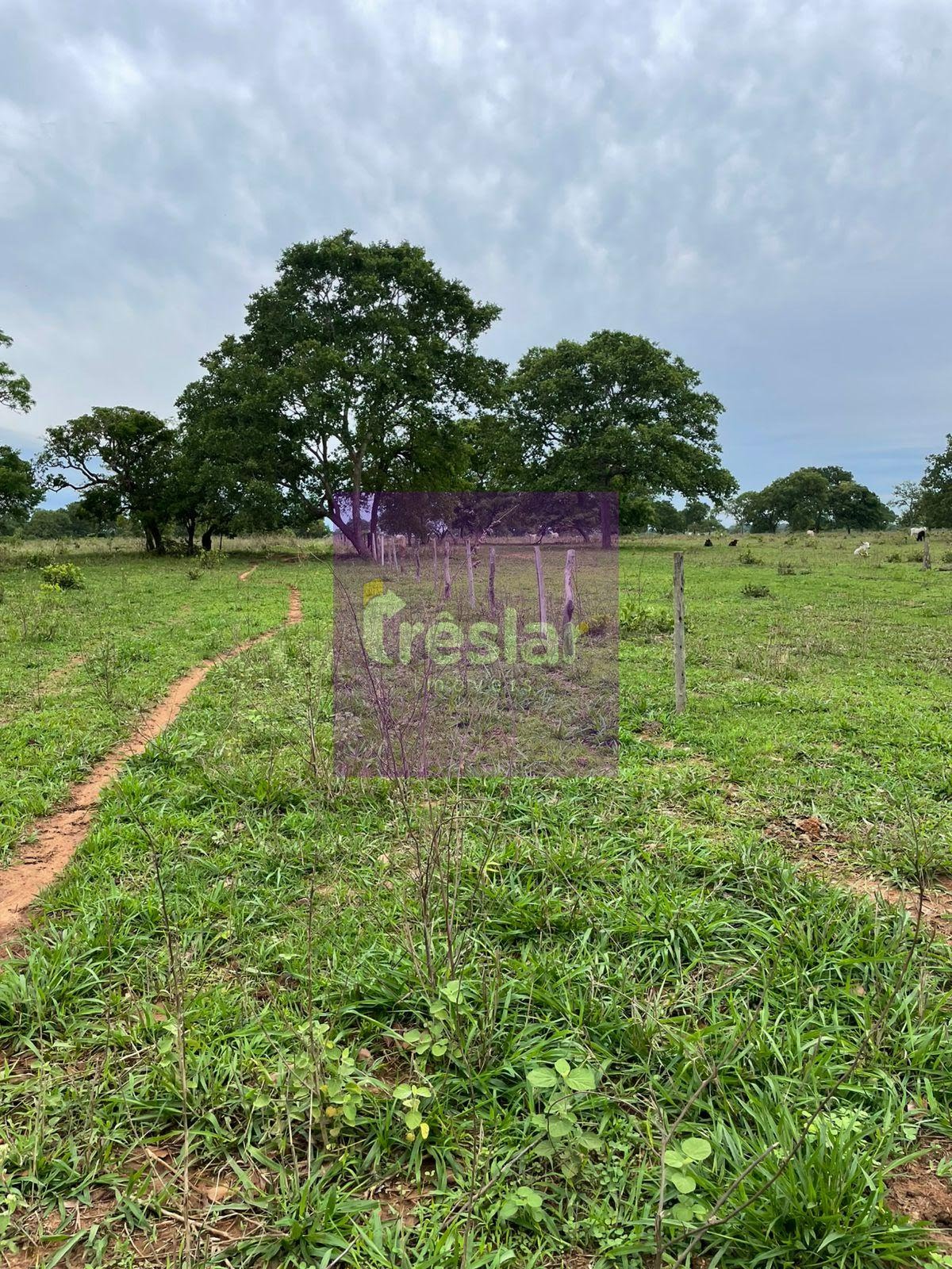 Rural à venda no Fazenda, Três Lagoas (MS) — foto 17 de 24