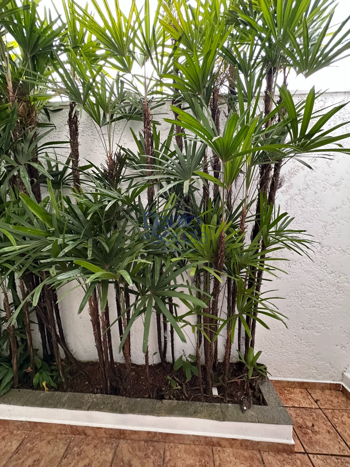 Casa à venda com 3 quartos, 1 suíte, 4 vagas e 744m² no Vila Santa Terezinha, Araxá (MG) — foto 7 de 22