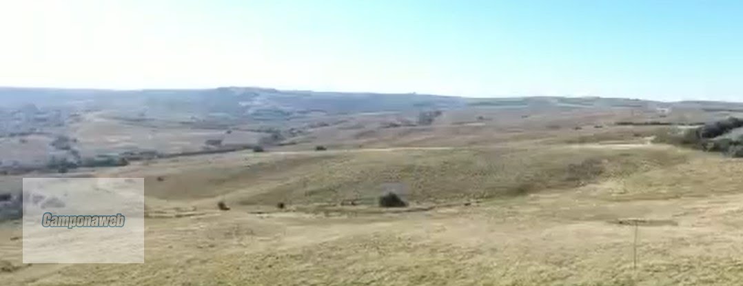 Vista aérea da propriedade