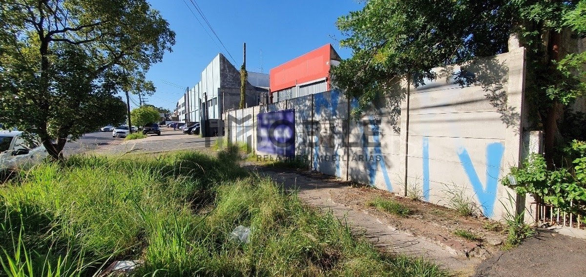 Terreno