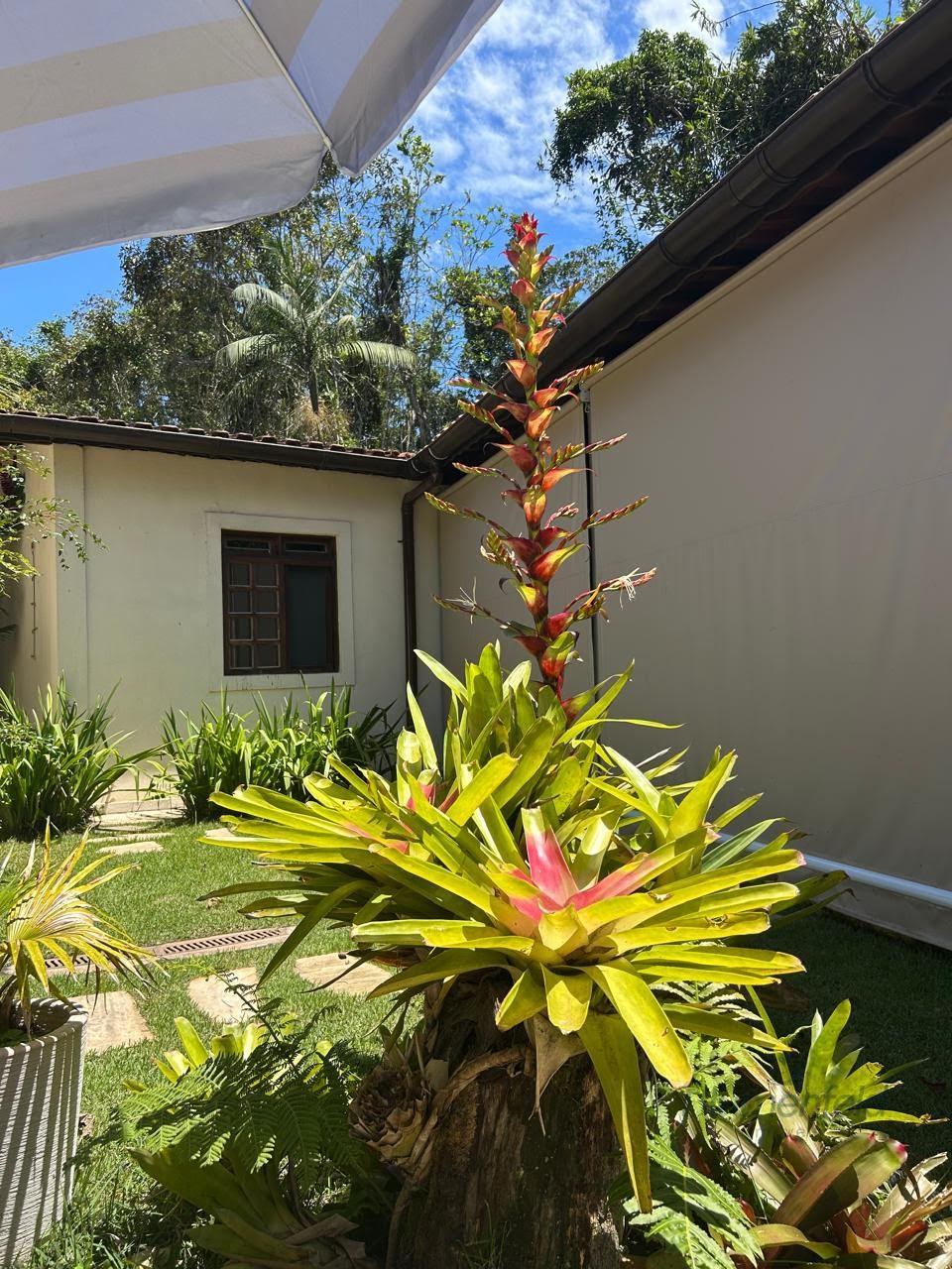 Casa à venda com 5 quartos, 2 banheiros, 4 vagas e 200m² no Guaratuba, Bertioga (SP) — foto 23 de 23
