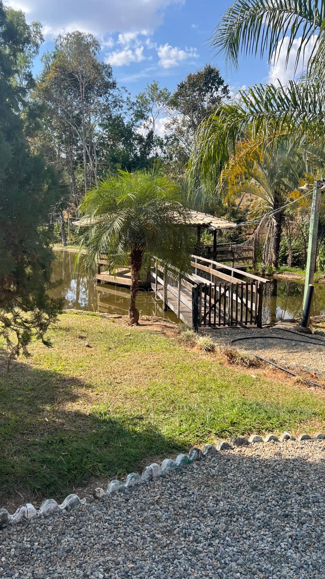 Fazenda, 1001 hectares - Foto 8