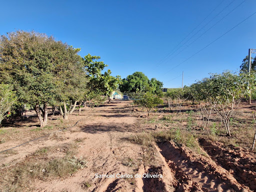 Sítio à Venda em Casa Branca/SP