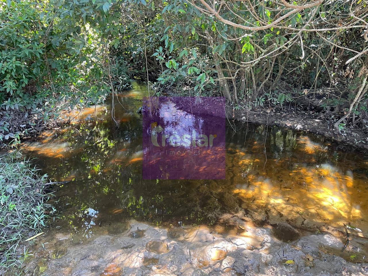 Rural à venda com 1710000m² de terreno no Fazenda, Três Lagoas (MS) — foto 21 de 30
