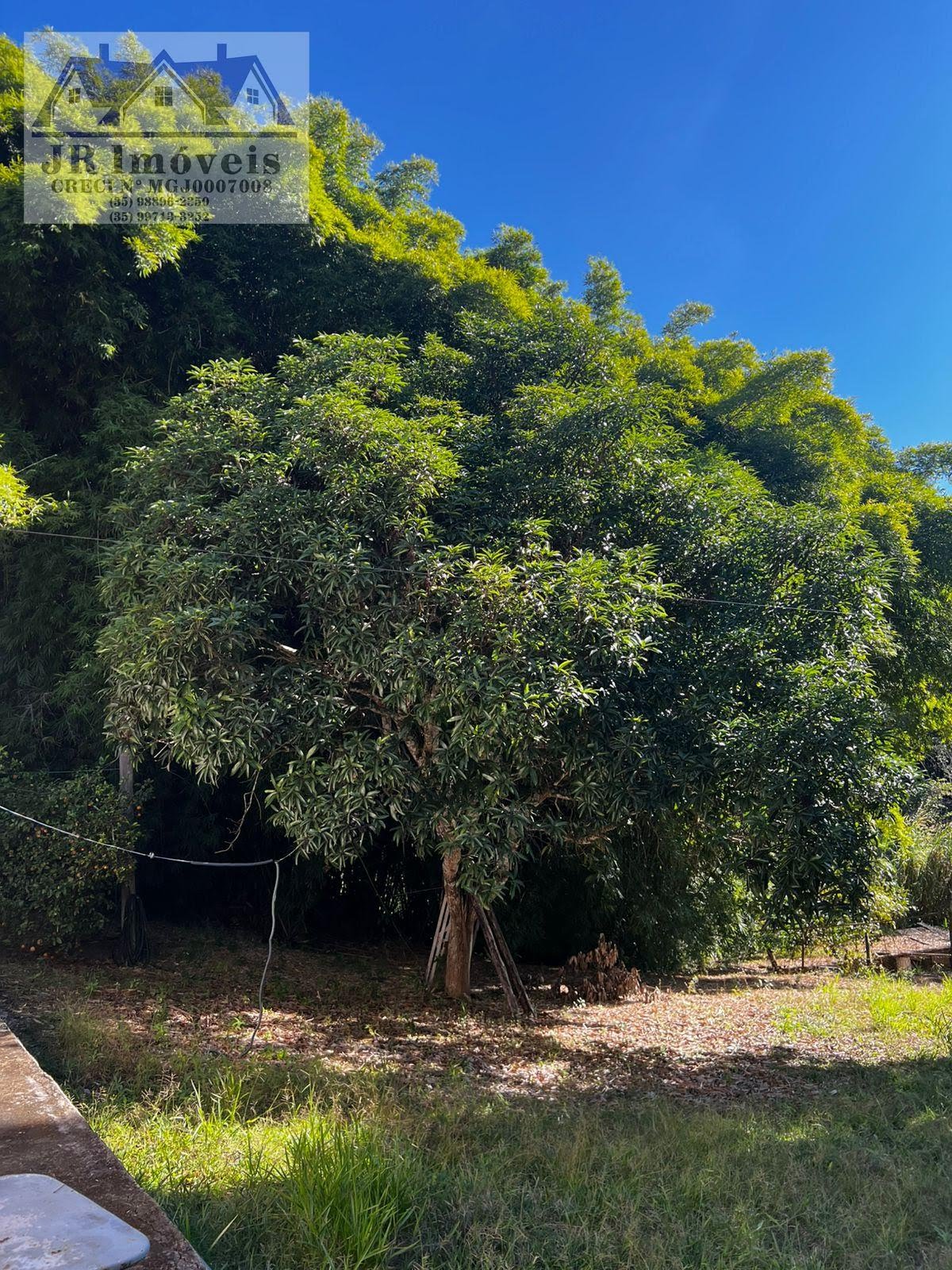 Rural à venda com 3046m² de terreno no Laje, Piranguinho (MG) — foto 12 de 30