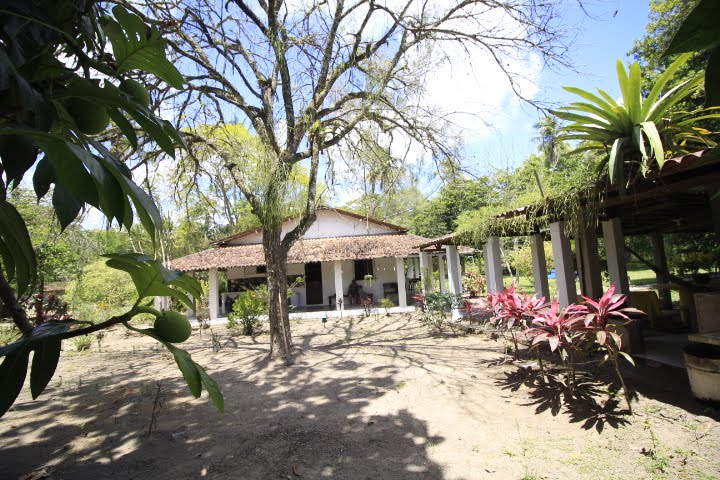Rural à venda com 80000m² de terreno no Monjope, Igarassu (PE) — foto 18 de 30