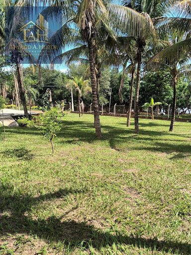 Plantas Frutiferas