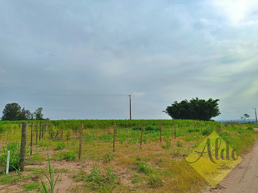 Fazenda em Bela São Pedro  -  São Pedro