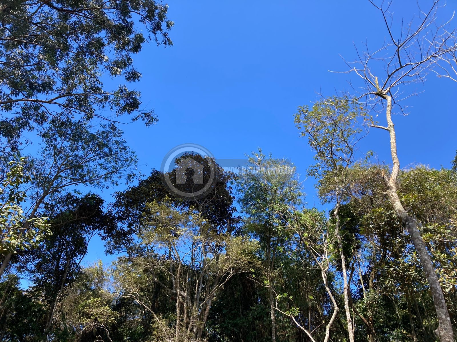 Terreno à venda com 1575m² de terreno no Serra da Cantareira, Mairiporã (SP) — foto 13 de 20