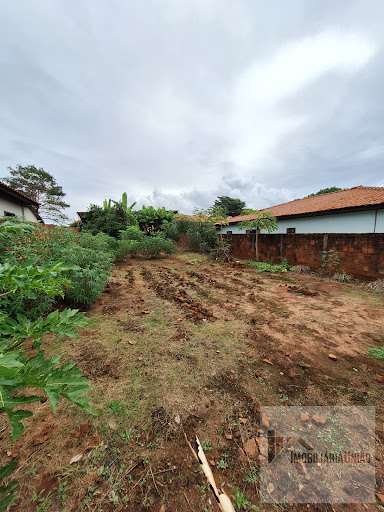 Terreno em Centro (Sodrélia)  -  Santa Cruz do Rio Pardo