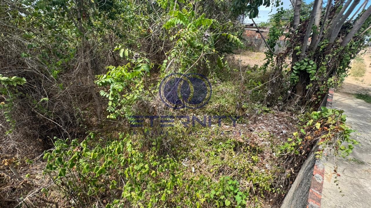 Terreno à venda com 460m² de terreno no Sitio Fragoso, Paulista (PE) — foto 10 de 15