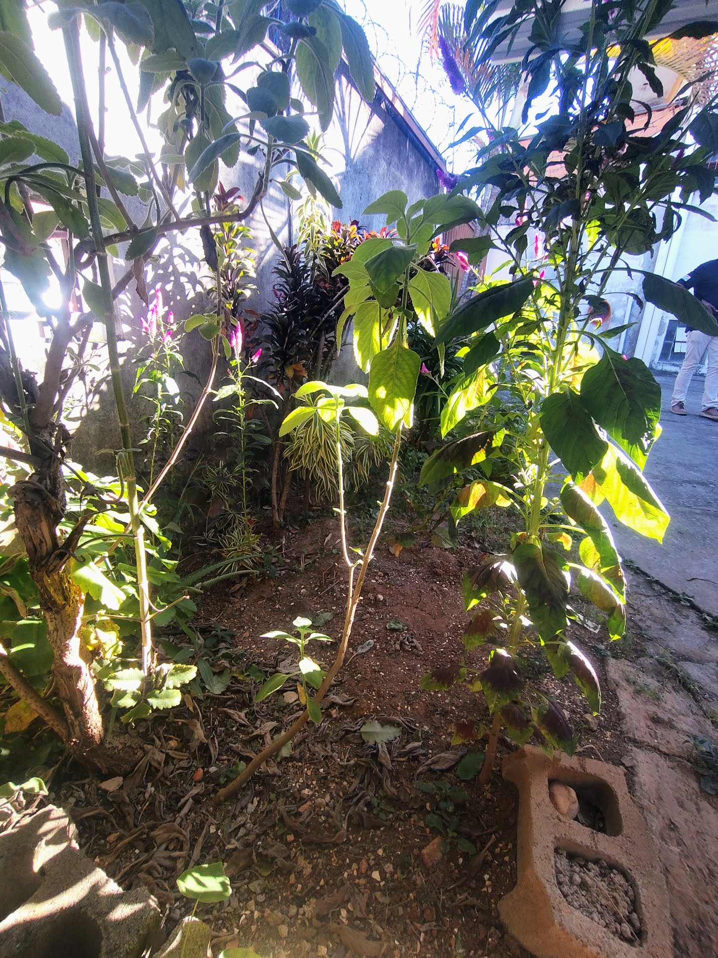 Apartamento, 2 quartos, 45 m² - Foto 22