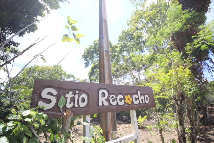Sitio recocho em igarassu para venda