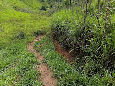 Terreno à venda no Centro de Marliéria com 230.000m²
