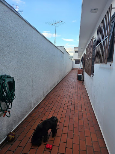 Corredor lateral