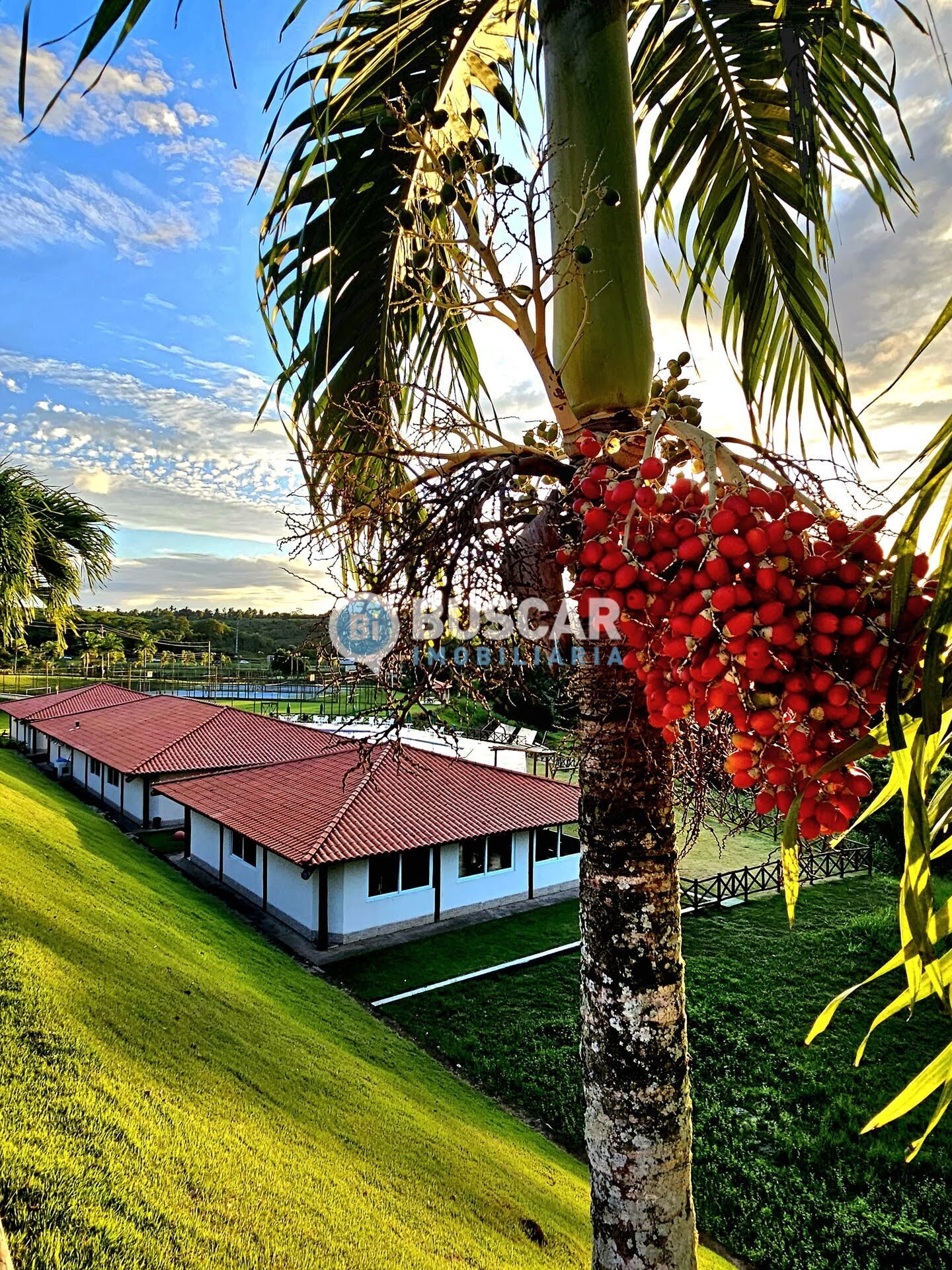 Terreno à venda no Br-324, Amélia Rodrigues (BA) — foto 3 de 17