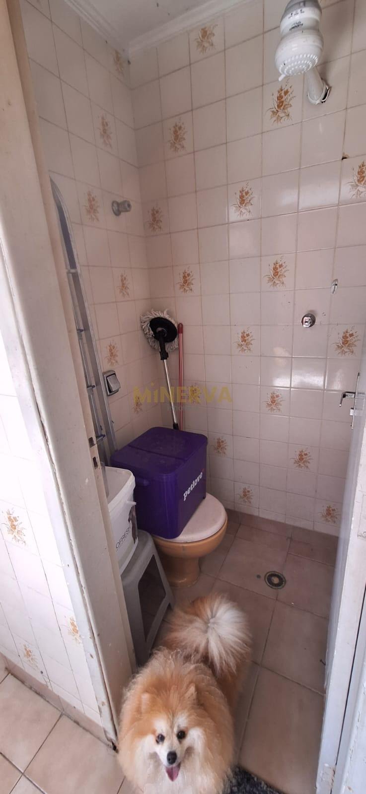 Casa à venda com 2 quartos, 2 suítes, 2 vagas e 231m² no Vila Gomes Cardim, São Paulo (SP) — foto 22 de 30