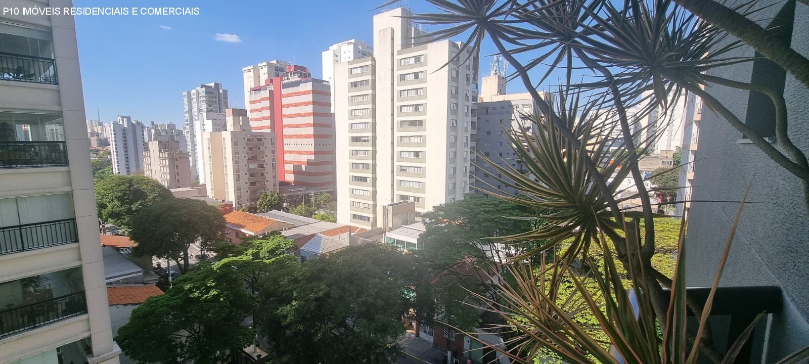 Foto 02