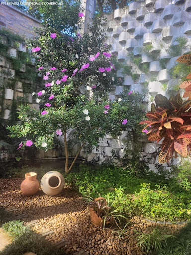Foto 06