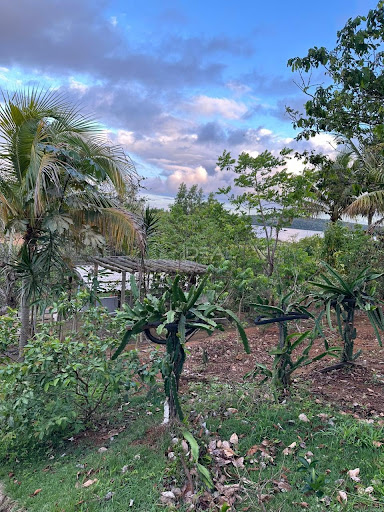 Chácara em  Lagoa de cima São Benedito   -  Campos dos Goytacazes