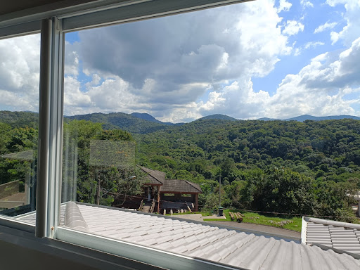 Vista