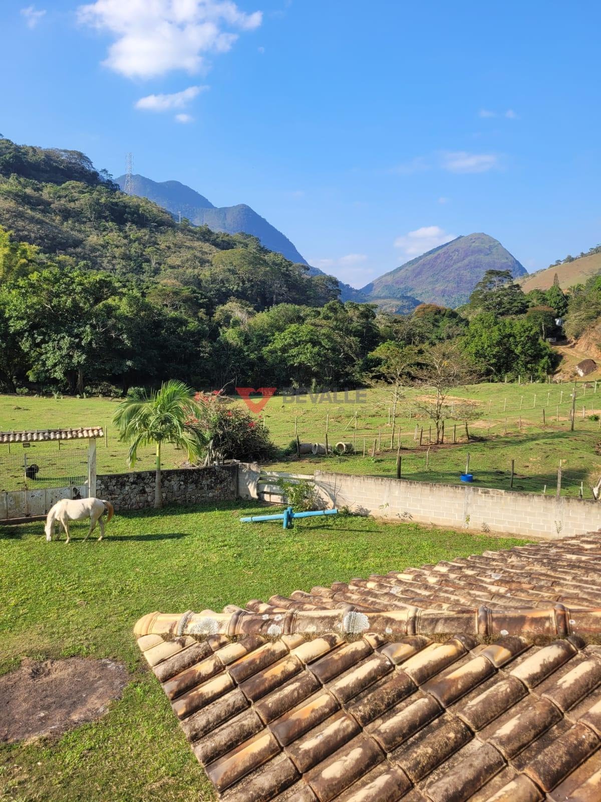 Rural à venda com 1360000m² de terreno no Centro, Conceição de Macabu (RJ) — foto 23 de 30