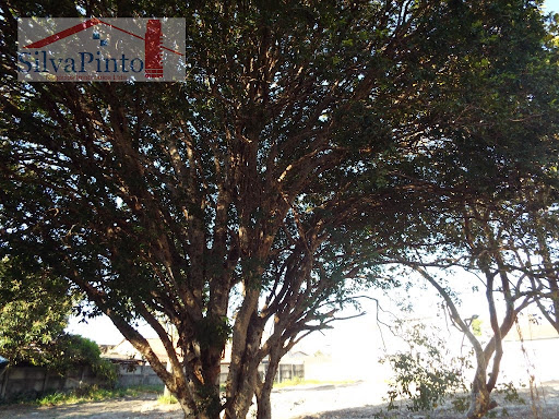 Terreno em Parque Sao Luis  -  Taubaté