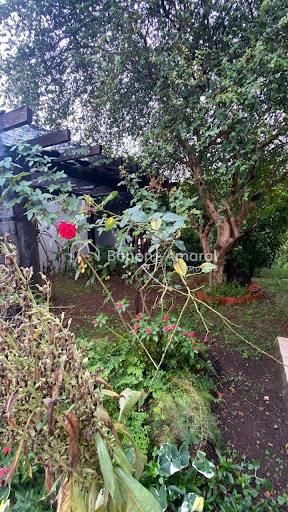 Casa de Condomínio, 2 quartos - Foto 20