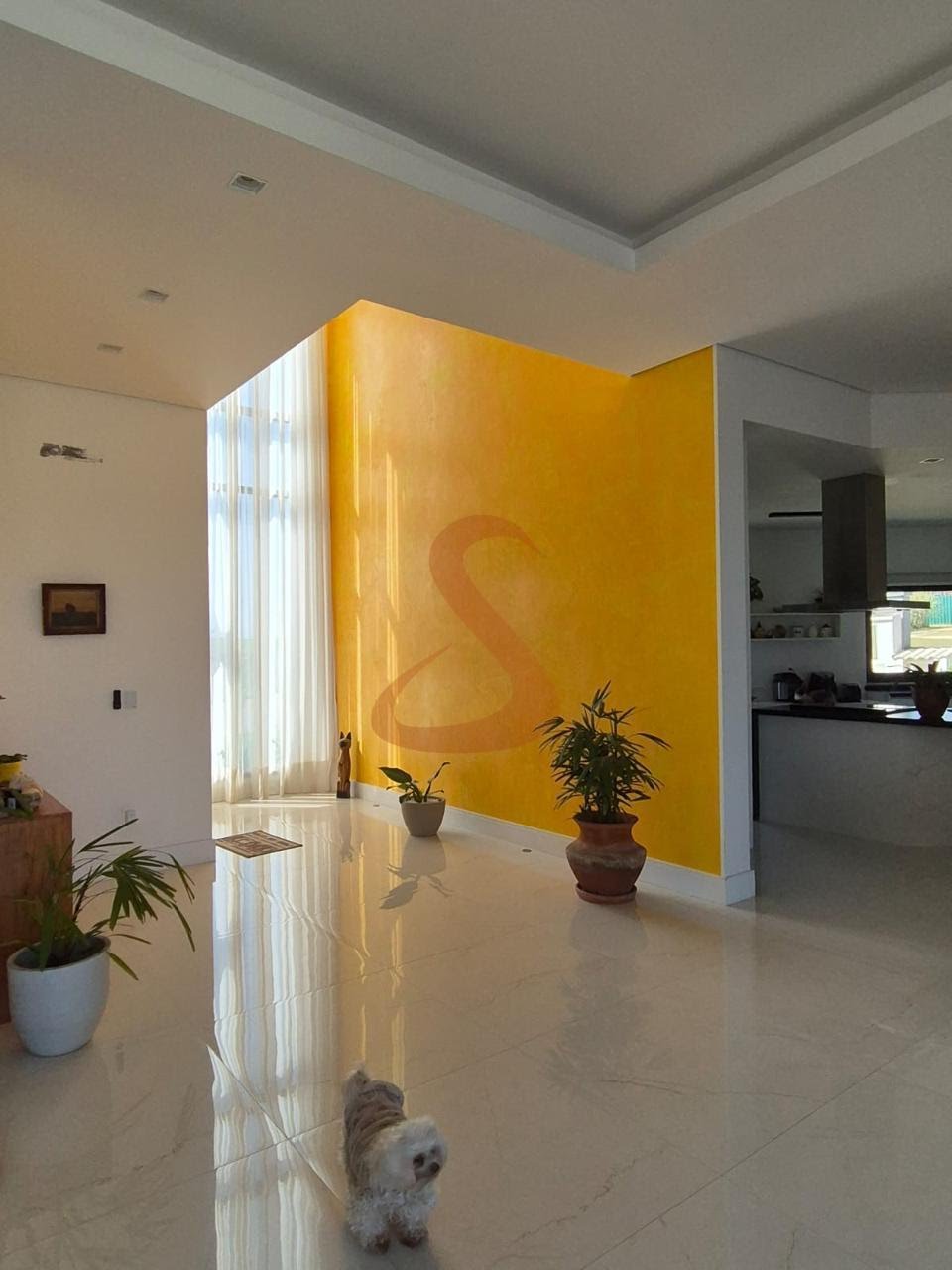 Hall entrada
