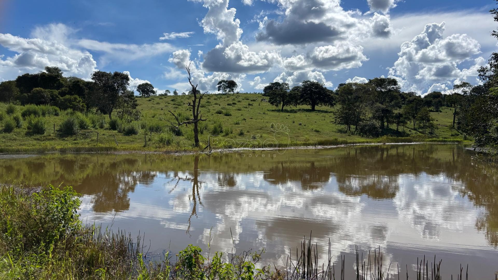 Rural à venda no Fazenda, Itapuranga — foto principal