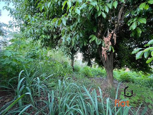 Lote à Venda no bairro São José, Pará de Minas por R$220.000