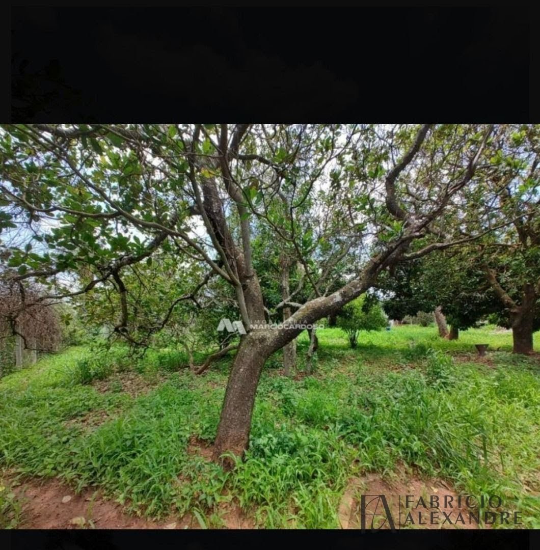 Rural à venda com 2500m² de terreno no Chácaras de Recreio Felicidade (zona Rural), São José do Rio Preto (SP) — foto 12 de 17