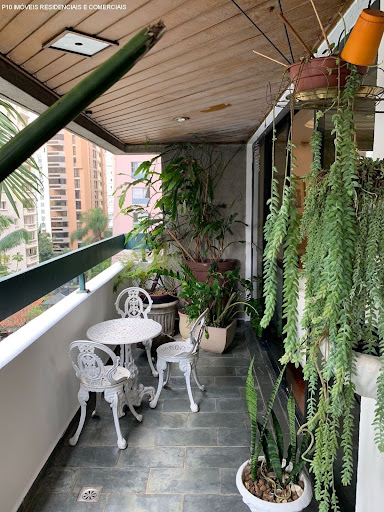 Foto 02