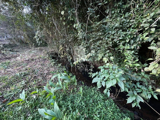 Foto 08
