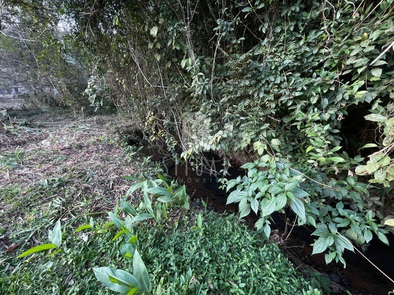 Foto 08