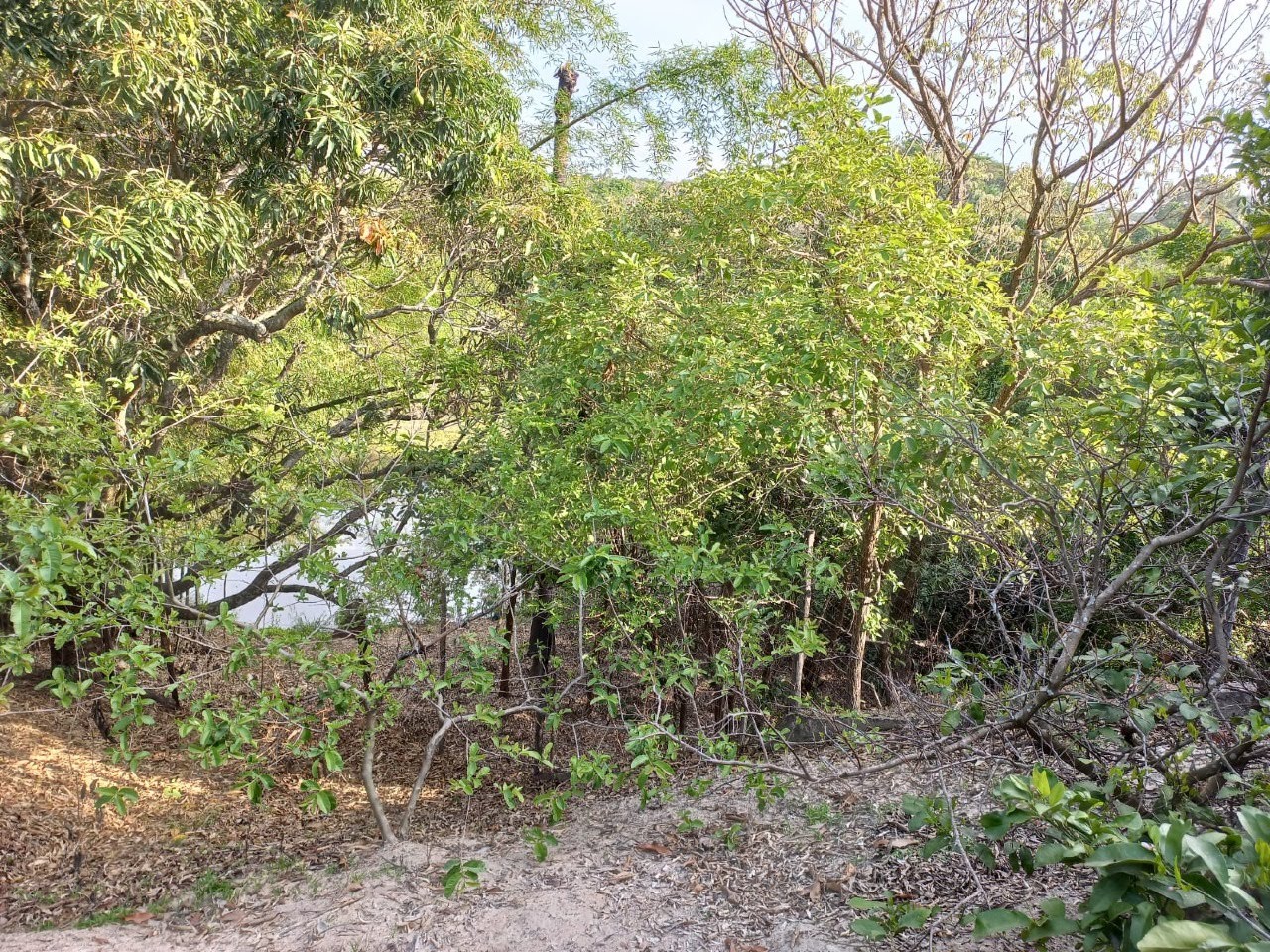 Rural à venda com 6000m² de terreno no Bonanza, Santa Luzia (MG) — foto 27 de 30
