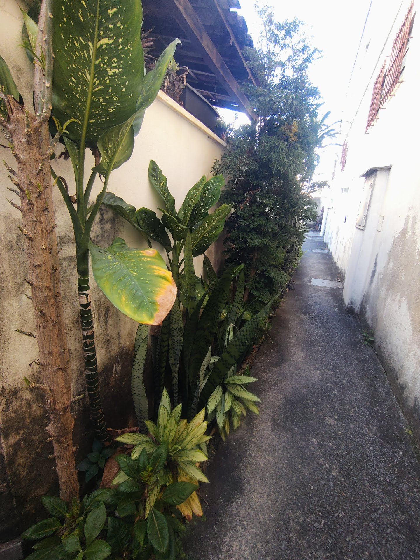 Apartamento, 2 quartos, 45 m² - Foto 1