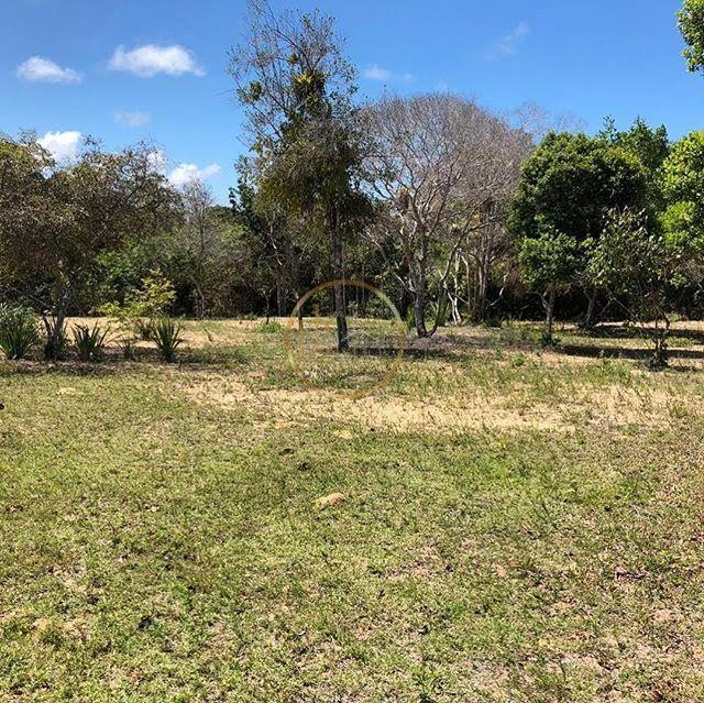 Terreno à venda com 210000m² de terreno no Trancoso, Porto Seguro (BA) — foto 14 de 18