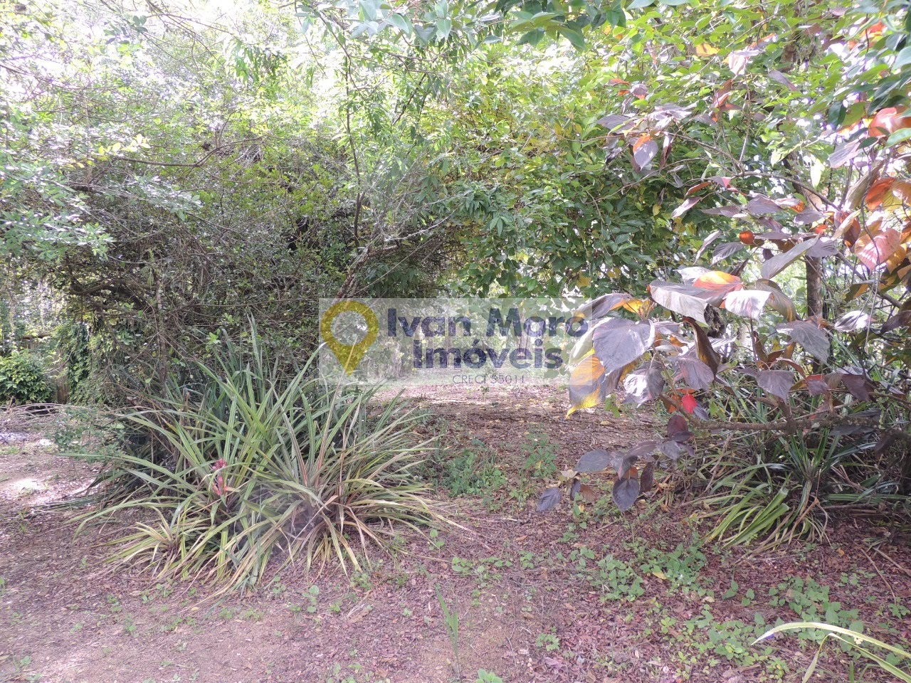 Terreno à venda com 875m² de terreno no Santo Antônio de Lisboa, Florianópolis (SC) — foto 17 de 17