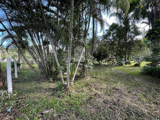 Foto 08