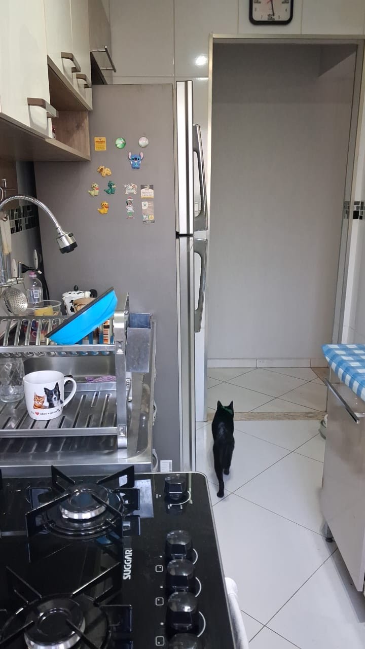 Apartamento à venda com 2 quartos, 1 banheiro e 1 vaga no Jardim Marilu, São Paulo (SP) — foto 12 de 30