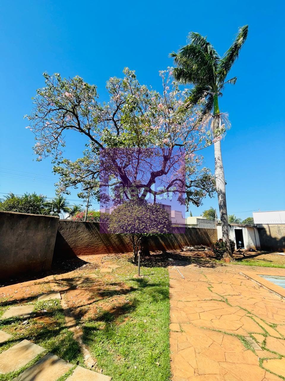 Casa à venda com 3 quartos, 1 suíte e 403m² no Vila Nova, Três Lagoas (MS) — foto 4 de 26