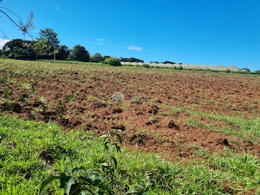 Terreno a venda em Casa Branca SP