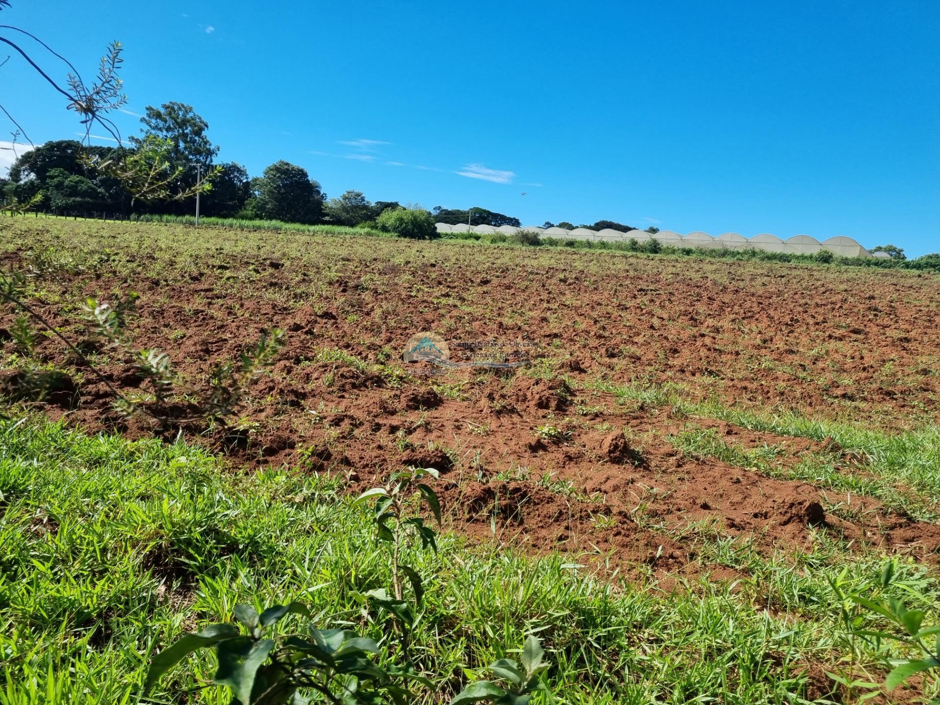 Terreno a venda em Casa Branca SP