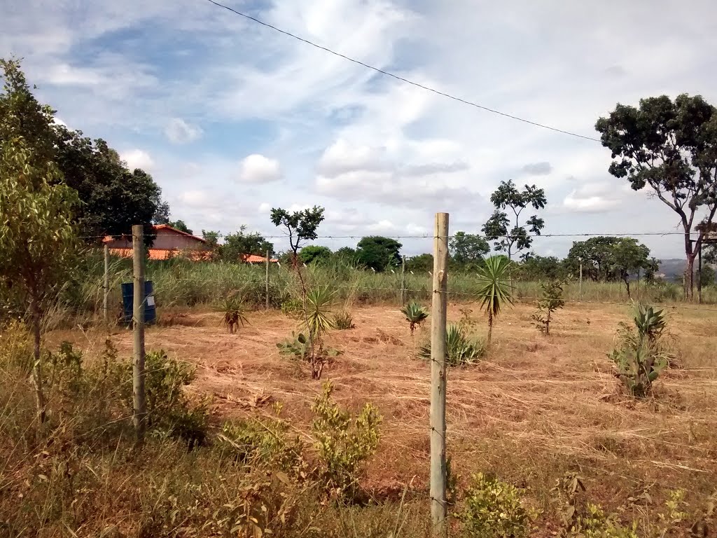 Rural à venda com 2500m² de terreno no Loteamento Vovó Clea, Sete Lagoas (MG) — foto 8 de 9