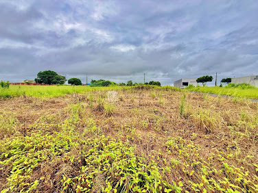 Lote / Terreno em Residencial Barka II  -  Catalão