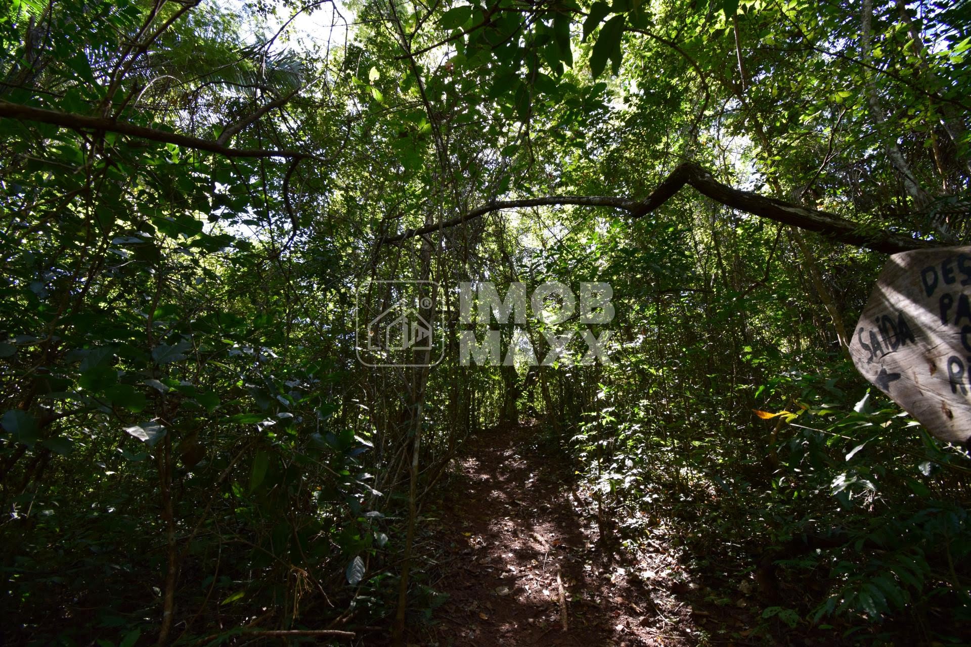 Chácara, 5 quartos, 5 hectares - Foto 41